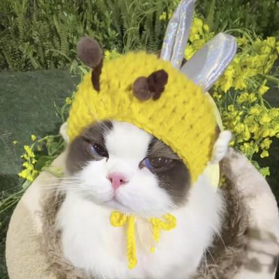 Головной убор для питомца Вязаная шапка Косплей реквизит Головной убор