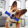 Зубная щетка - SHOP-STORY - CHEWBRUSH - Против зубного камня - Для собаки - Средний размер