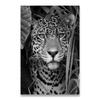 Jaguar Cow Cute Alpaca Animal Poster and Prints Black White Wall Art Nursery Canvas Painting Pictures for Living Room Home Decor