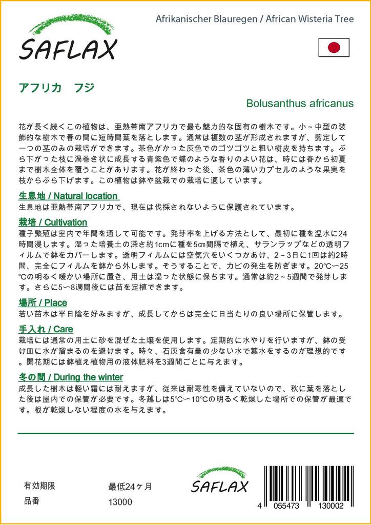 SAFLAX Дерево глицинии африканской - 15 семян - Bolusanthus africanus