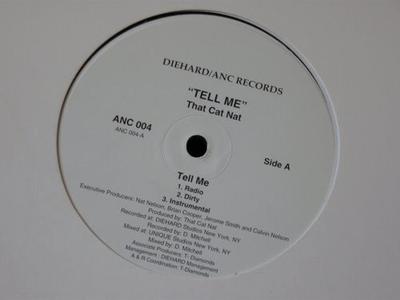 12-дюймовая пластинка THAT CAT NAT - Tell Me ANC004 ANC Records, Di 1997 US Рэп и Хип-хоп/R&B Б/У