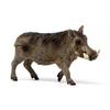 Schleich Warthog Figure SL14843, 1 шт., популярные игрушки в Корее