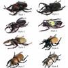 Realistic Beetle Action Figures Wild Insect Lifelike Insect Figurines  Desktop Ornament