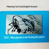 English Version Polarization Test Card and Sheet with Polarized Glasses