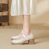Women's Chunky Heel Mary Jane Shoes Dressy Shoes With Ankle Strap Casual Block Heels Round Toe Pumps Wedding Office Party Mary Jane Pumps for Women