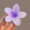 Hawaiian Gradient Hair Clips Women Flower Hair Claws Shark Hairpins Vacation Beach Hairpins Hair Accessories