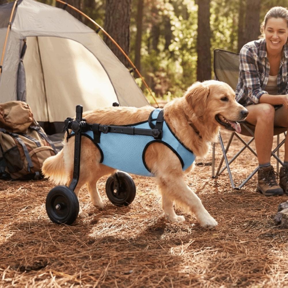 Adjustable Pet Wheelchair Cart Comfortable Rehabilitation Walking Assistant  Outdoor Use