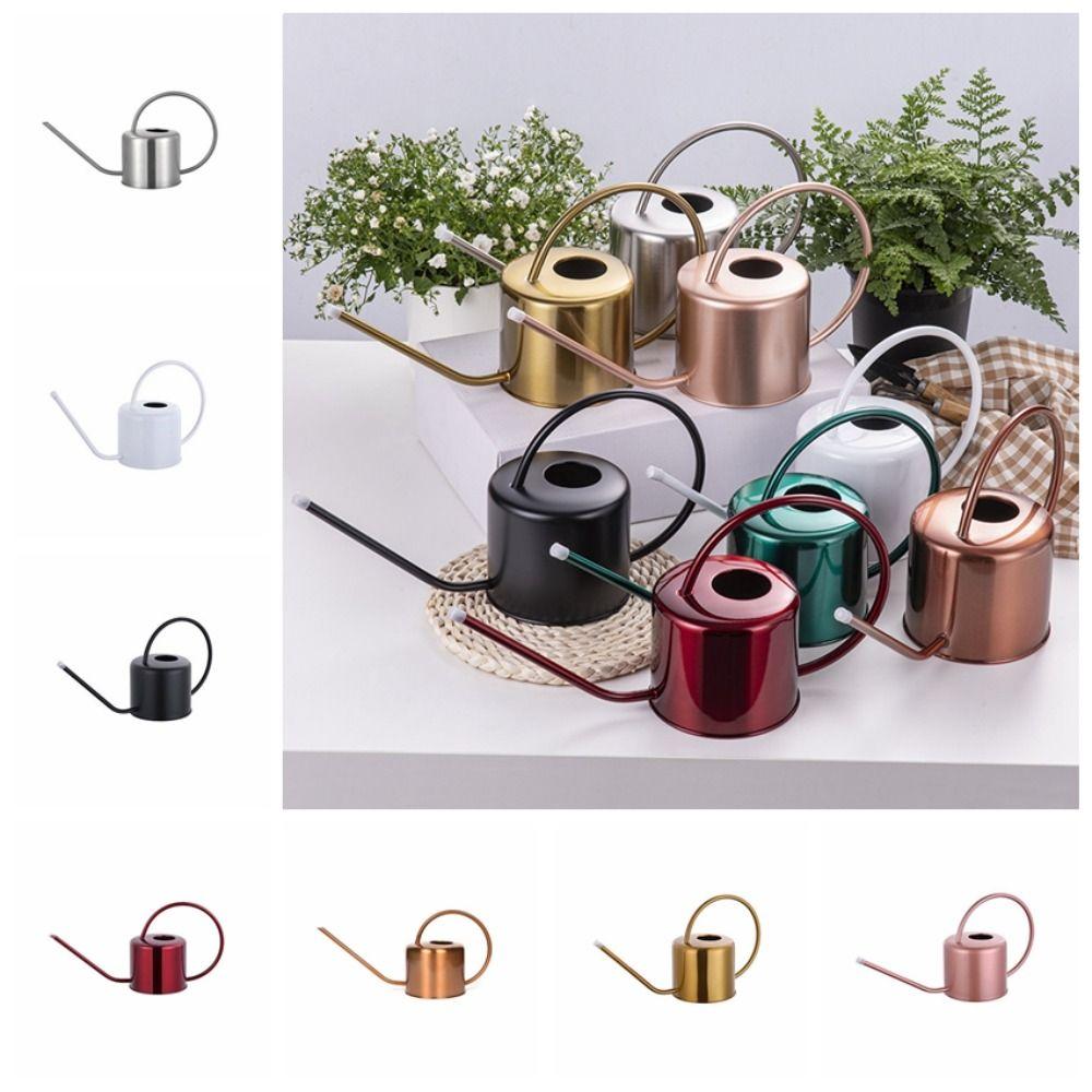 Stainless Steel Long Spout Watering Can Rustproof Leakproof Spray Kettle Watering Can Indoor