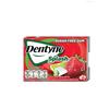 Dentyne Splash Sugar Free Gum – Spearmint & Strawberry Lime Flavors