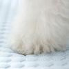 Summer Cooling Mat Sleeping Pad Pet Bed Mats Breathable And Absorbent Suitable For Small And Medium-Sized Cats And Dogs