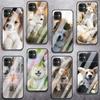 Чехол для телефона из закаленного стекла с собакой корги для iPhone Samsung Galaxy OnePlus Oppo Xiaomi Redmi Note SA 7 8 9 10 11 12 13 14 20 21 22 53 Pro Max Plus Ultra