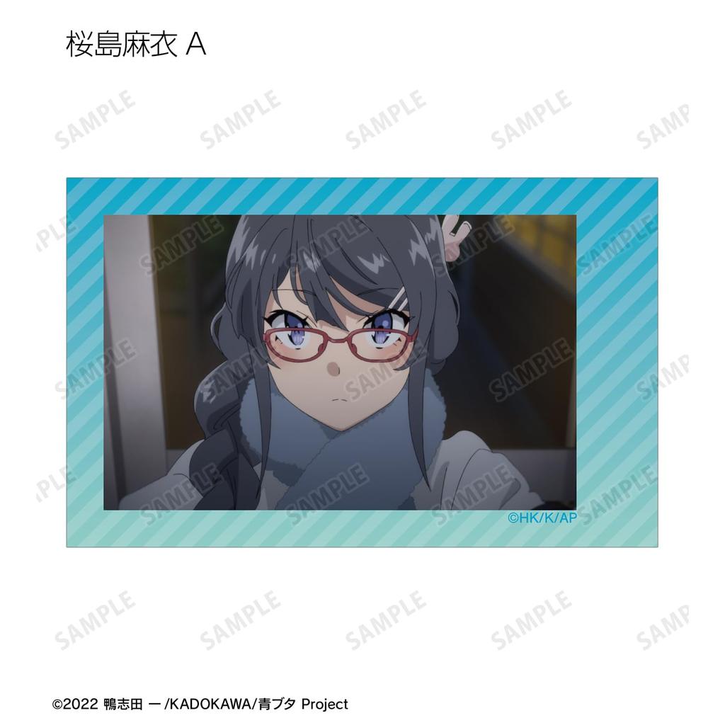 Rascal Does Not Dream of a Dreaming Girl trading instant camera style illustration box of 12 cards,