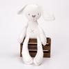 Plush Soothing Bunny Doll for Baby Sleep