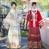 Chinese Ming Dynasty Style Hanfu Women's Suit Square Collar Embroidered Horse-face Skirt Plus Velvet Suit