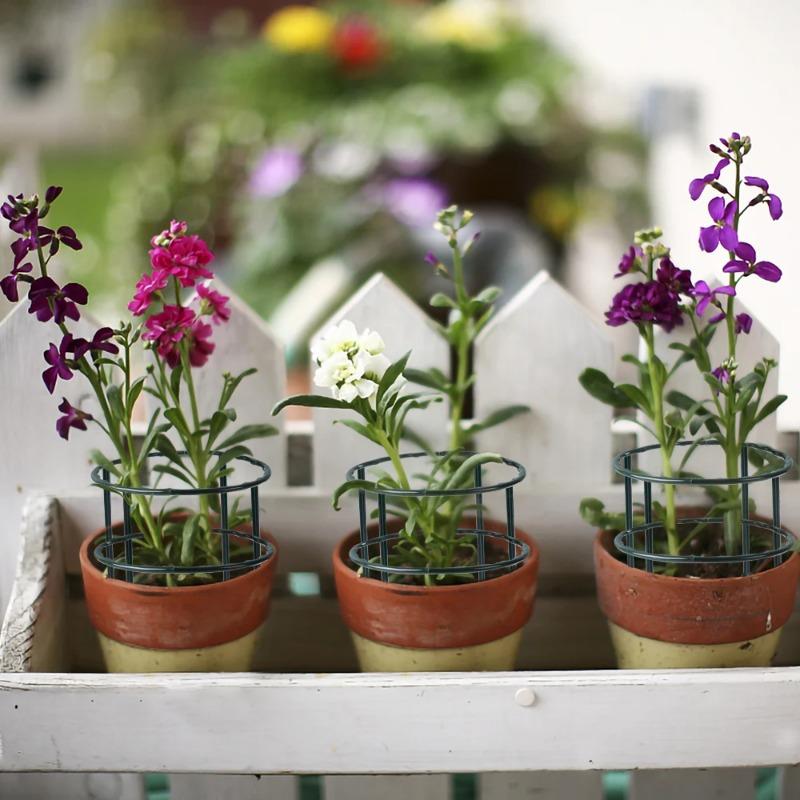 2-12 шт. Пластиковая опора для растений, колышек, каркас, тепличная композиция, полукруглый фиксирующий стержень, опора для комнатных цветов, вьющихся растений