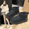 Korean Simple Foreign Trade Large Size Snow Boots Winter 2024 Explosion Matte Warm Feet Velvet Warm Snow Boots Women
