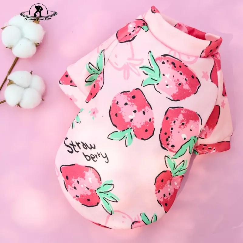 Толстовка с капюшоном для маленьких собак с милым принтом, зимняя теплая одежда для домашних животных, свитер для чихуахуа, ши-тцу, пуловер для щенков, кошек, одежда для собак