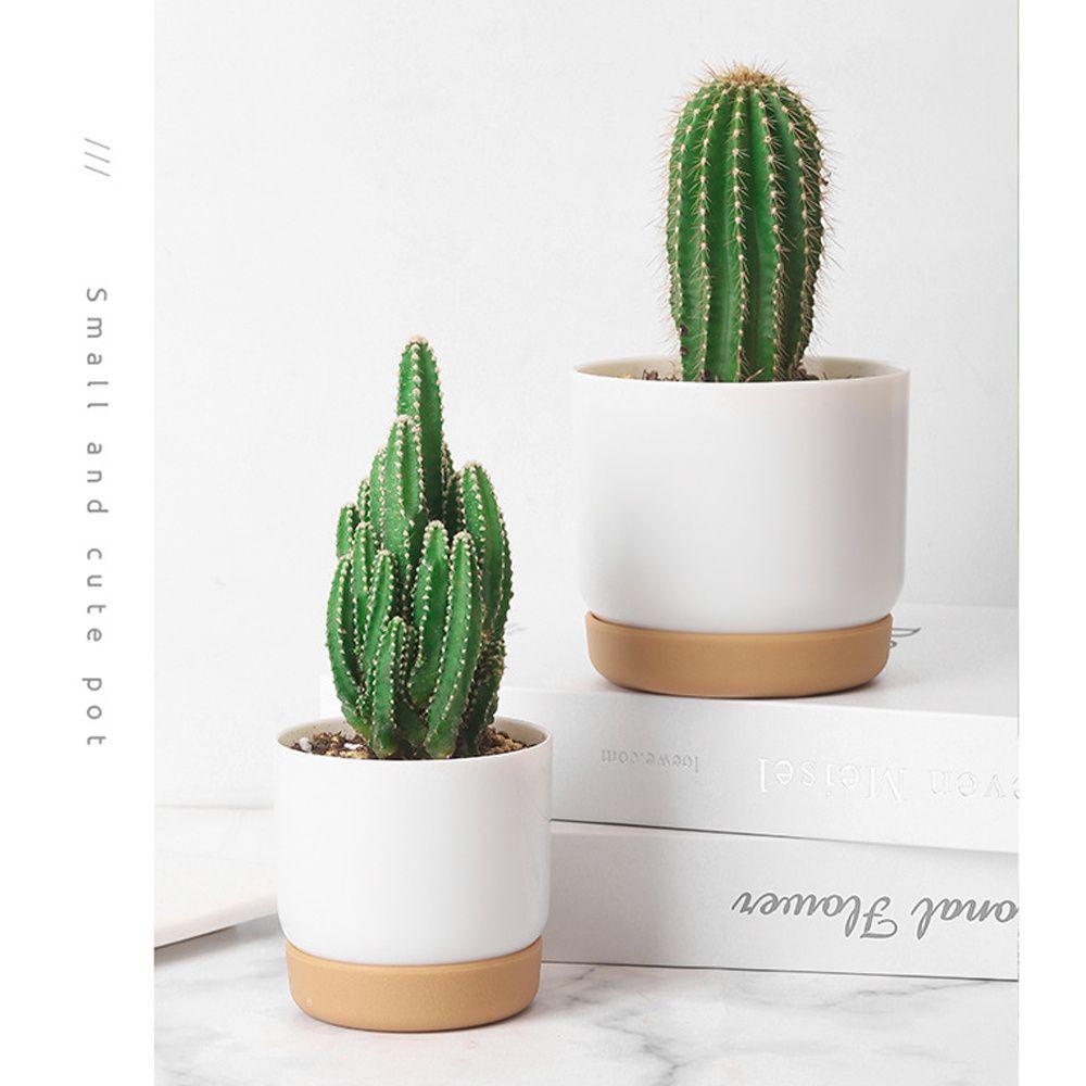 Садовые принадлежности Горшки для орхидей Цветочные контейнеры для помещений с дренажным отверстием Самополивающийся цветочный горшок