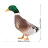 Art Decor Double-Sided Printing Wild Duck Decorations Acrylic Duck Statues Duck Sculpture Realistic