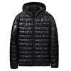 2024 Men's Autumn/Winter Down Cotton Jacket - Lightweight, Short Bread Style