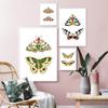 Мотылек природа принты насекомых винтажный постер домашний декор стены животное образовательная картина холст картина детская комната художественный декор Cuadros