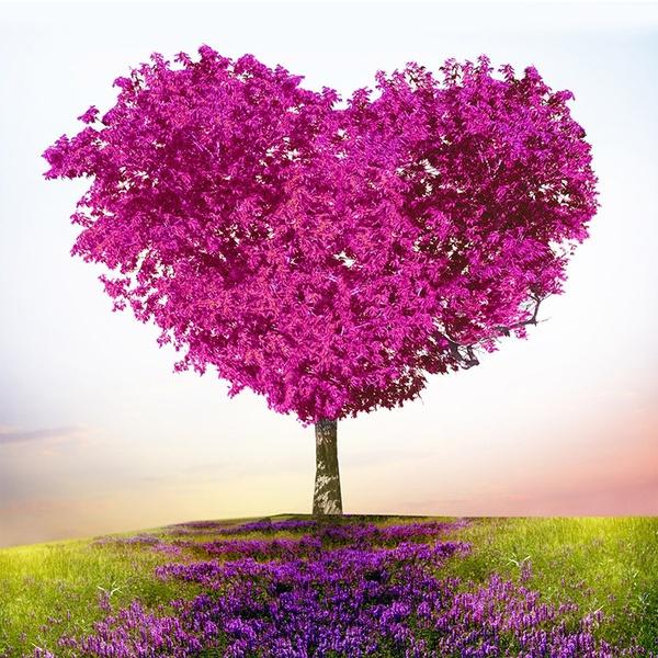 5D DIY Алмазная вышивка Мандала цветы вышивка крестиком распродажа полная квадратная круглая алмазная живопись кошка животное Алмазная мозаика домашний декор