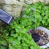 Solar Fountain Pump for Birdbath 6V 3.5W Solar Powered Brushless Submersible Water Pump Built-in