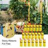 20/40Pcs Sticky Fly Trap Ribbon with Nail Double Sided Strong Adhesive Indoor