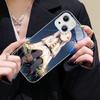 Горячий японский аниме-комикс Фрирен Чехол для телефона Для IPhone 14 13 12 Mini 11 Pro XS Max X XR 14 Plus Закаленное стекло