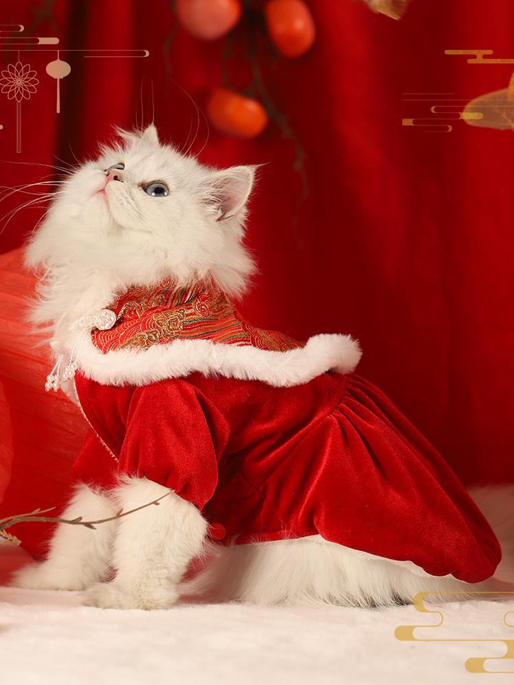 Праздничный зимний наряд для кошек и собак: Теплая юбка-кошечка на осень и Новый год