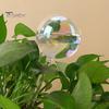 4/6Pcs Plant Watering Globes Automatic Glass Watering Bulbs 7CM Diameter Self Watering Globes Indoor Outdoor Plant Watering Tool