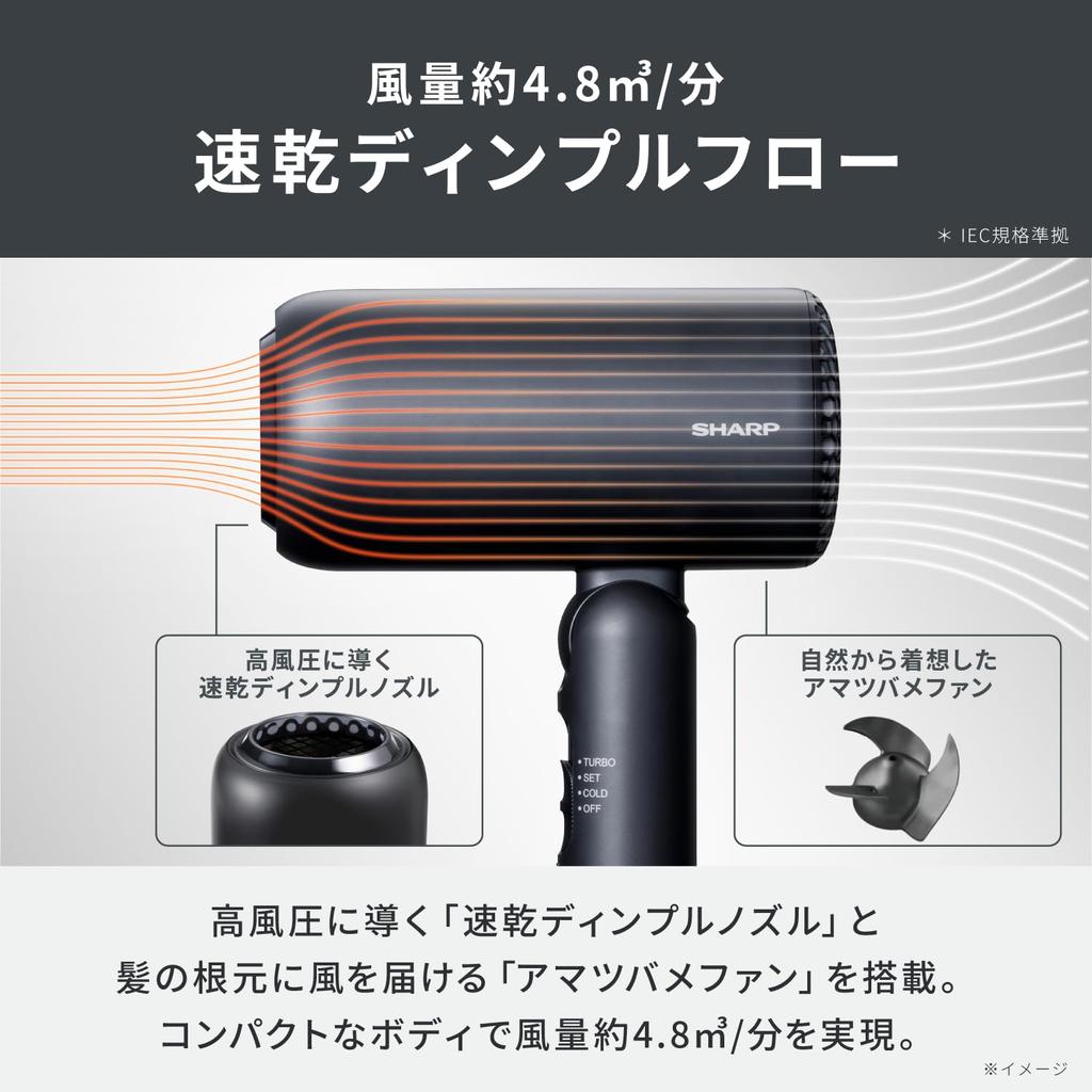 Sharp Dimple Flow Hair Dryer IB-P300-B Fast Drying Negative Ion UV Care Compact Storage Black