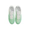 Nike Кроссовки унисекс Isod Wair Premium SB Mint Green Light-Menta White DO9400-300
