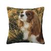 Custom Cavalier King Charles Spaniel Square Pillowcase Cushion Comfort Throw Pillow Sofa Cushions Used for Home Bedroom
