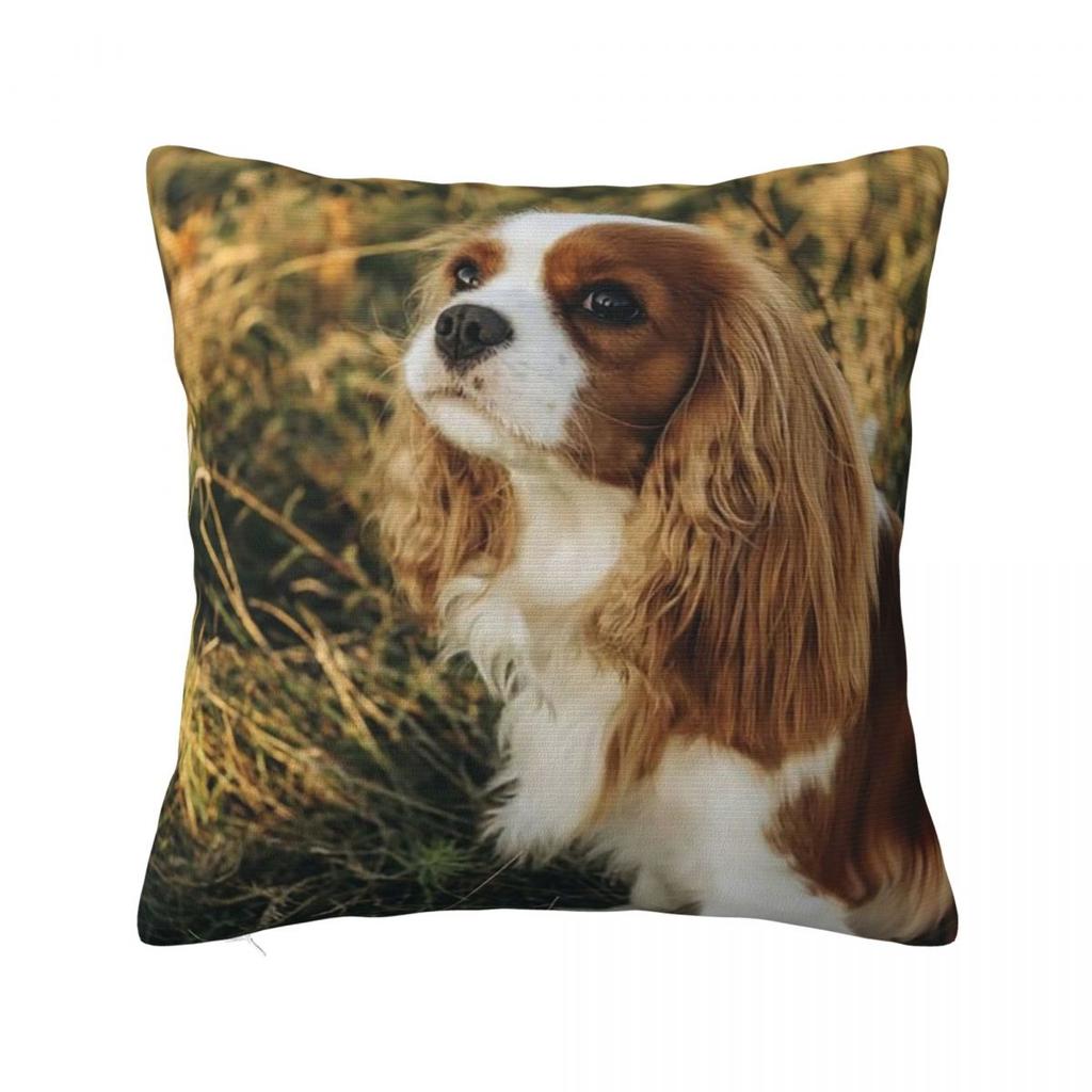 Custom Cavalier King Charles Spaniel Square Pillowcase Cushion Comfort Throw Pillow Sofa Cushions Used for Home Bedroom