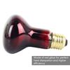 60W Infrared Heat Lamp Red Light Glass Heating Lamp Bulb for Lizard Reptile and Amphibian