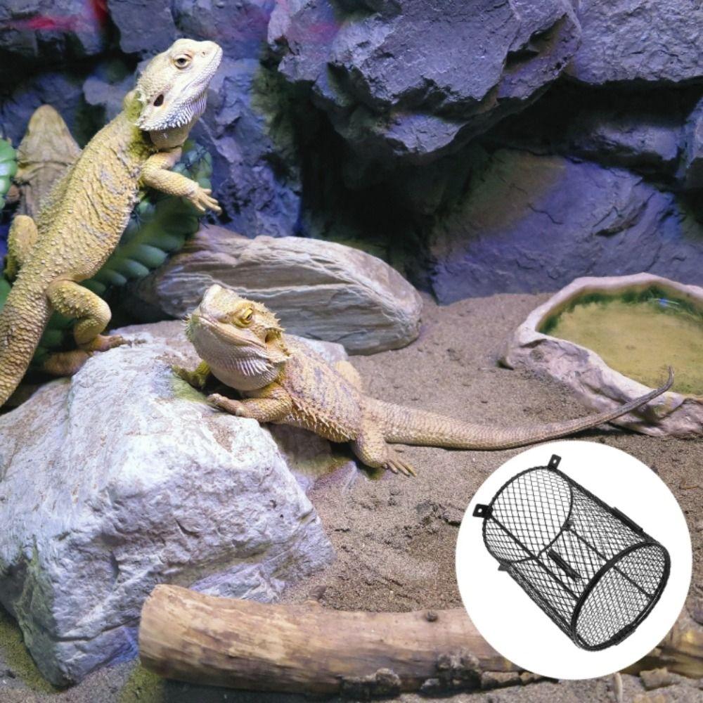 Металлическая сетка Нагревательная лампа Защитный кожух Круглой и квадратной формы Защита от нагревательной лампы для рептилий Рептилии