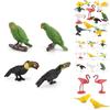 Small Hummingbird Animal Model Pvc Nature Scene Display For Childrens Classroom Use