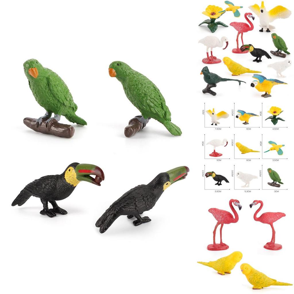 Small Hummingbird Animal Model Pvc Nature Scene Display For Childrens Classroom Use