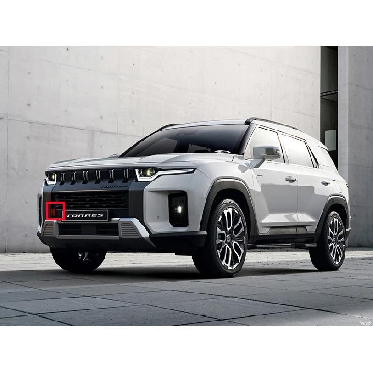 Для SsangYong Торрес (Дж100) Акцентная накладка на переднюю решетку в стиле карбона, нижняя сетчатая отделка, молдинг, декоративная рамка