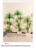 Dragon Blood Tree - Large Indoor Faux Plant for Living Room Decor