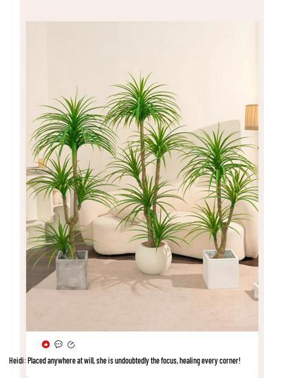 Dragon Blood Tree - Large Indoor Faux Plant for Living Room Decor