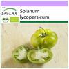 Organic - Tomato - Green Zebra - 10 Seeds - Solanum Lycopersicum