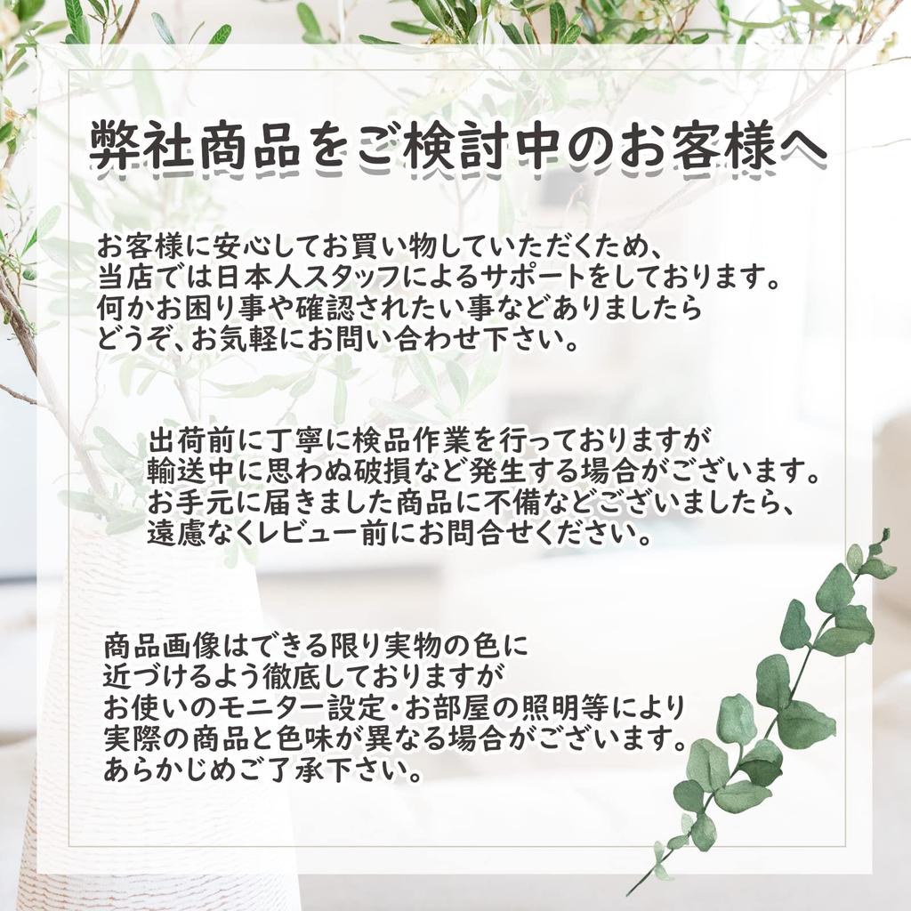 [Dr.nao] Lexus Starter Ring for Cars, Engine Start Button Cover, Engine Starter, Switch Cover,