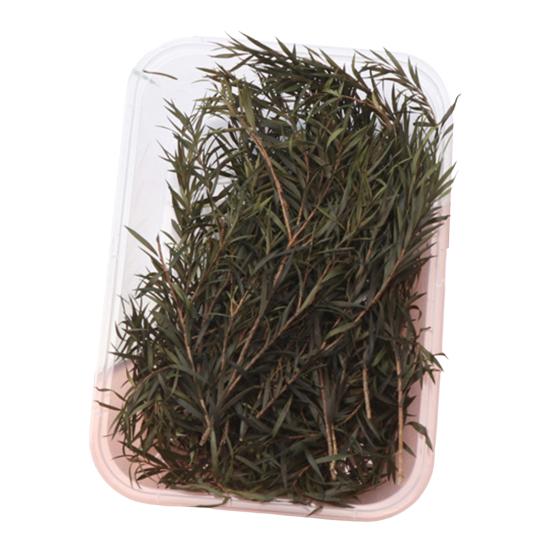 Набор сушеных цветов, настоящие натуральные цветы, сушеные цветы, сделай сам, вечные цветы, материал для ювелирных изделий ручной работы, поделки для ногтей