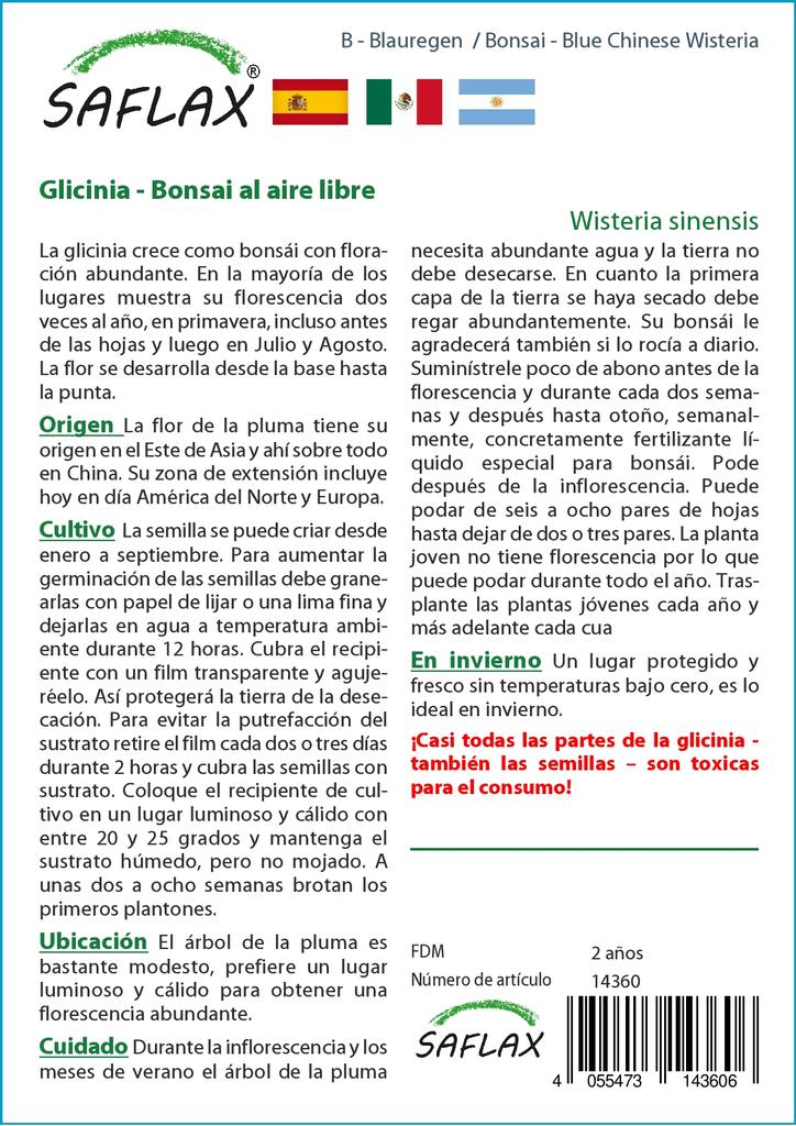 SAFLAX Garden in the Bag - Бонсай - Глициния китайская голубая - 4 семени - С субстратом в подходящем пакете - Wisteria sinensis