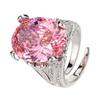 Accessories, Rings, Color Sapphire Blue, Red Corundum, Pink Diamonds Inlaid With High-End Women'S Goods