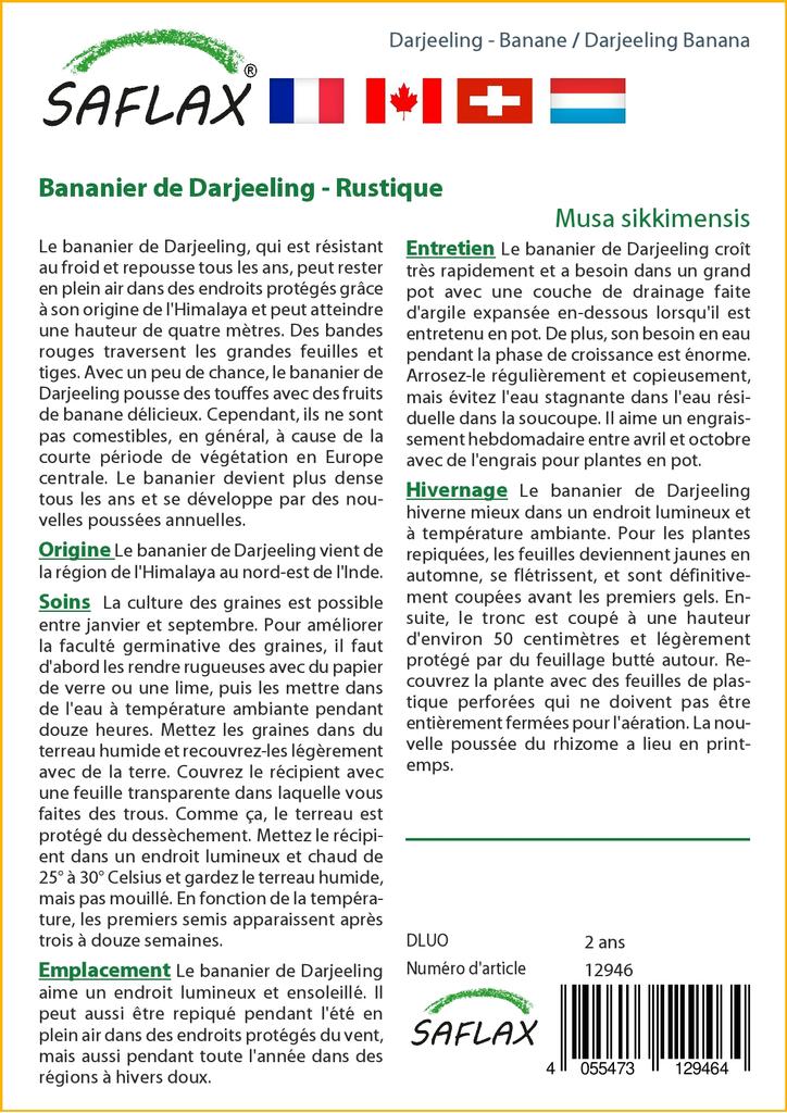 SAFLAX Банан Дарджилинг - 5 семян - Musa sikkimensis