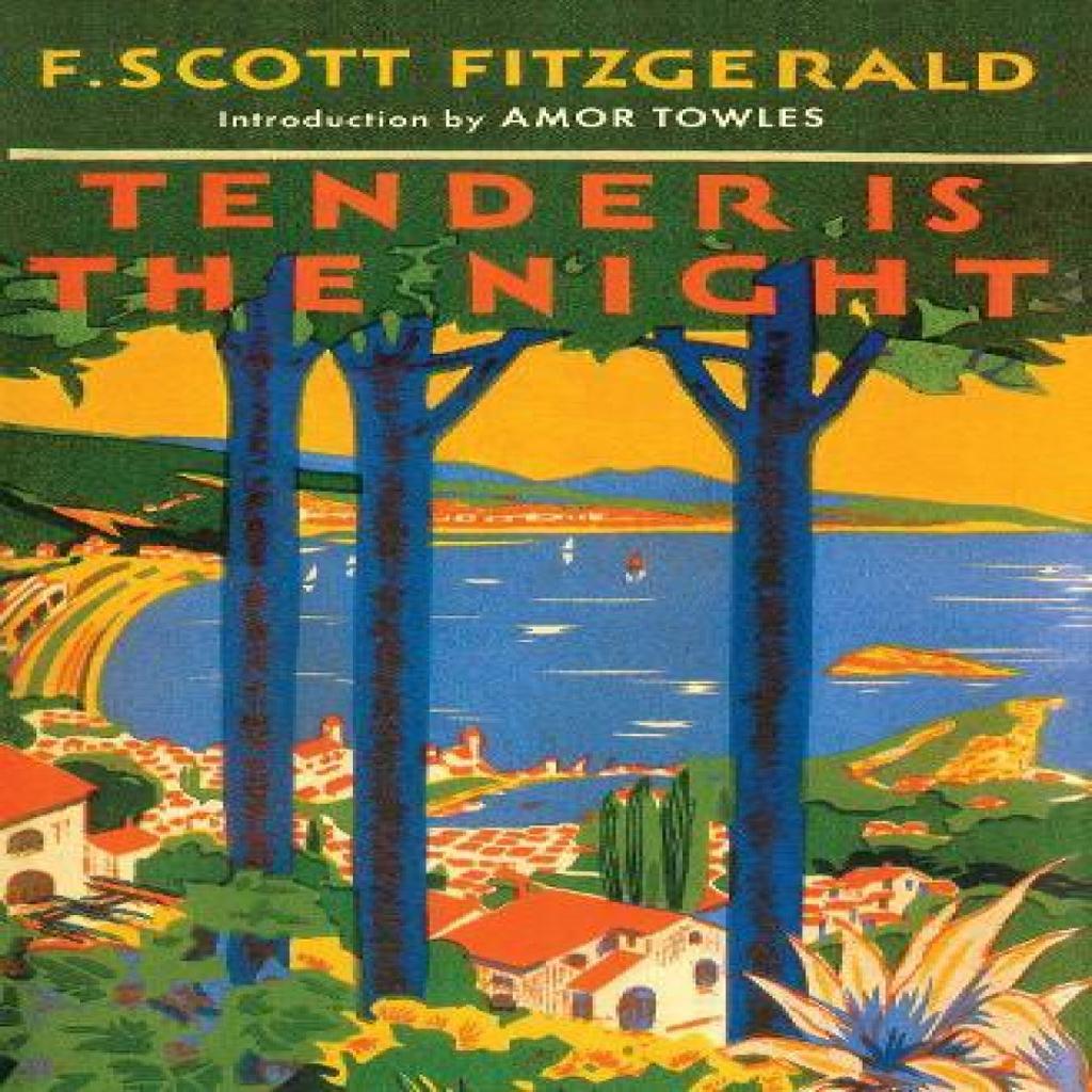 Tender is the Night by F. Scott Fitzgerald Paperback Book 9781398539891