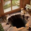 3D Hole Rug Realistic Bottomless Pit Floor Mat Funny Optical Illusion Rug with Non-Slip Backing for Entrance Living Room Bathroom